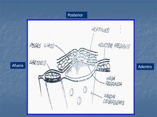 Afuera Adentro
Posterior
 