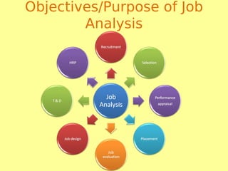 Objectives/Purpose of Job
Analysis
 