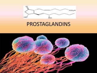 PROSTAGLANDINS
 