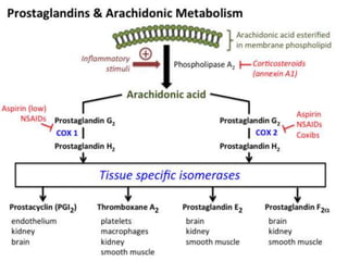 Autacoids Pharmacology | PPTX