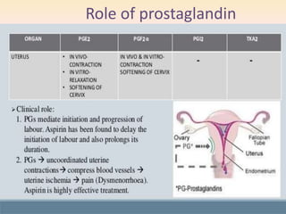 Role of prostaglandin
 