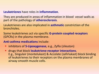 Leukotrienes have roles in inflammation.
They are produced in areas of inflammation in blood vessel walls as
part of the pathology of atherosclerosis.
Leukotrienes are also implicated in asthmatic constriction of the
bronchioles.
Some leukotrienes act via specific G-protein coupled receptors
(GPCRs) in the plasma membrane.
Anti-asthma medications include:
 inhibitors of 5-Lipoxygenase, e.g., Zyflo (zileuton)
 drugs that block leukotriene-receptor interactions.
E.g., Singulair (montelukast) & Accolate (zafirlukast) block binding
of leukotrienes to their receptors on the plasma membranes of
airway smooth muscle cells.
 