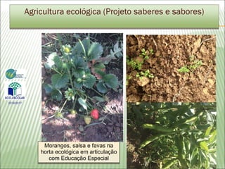 Agricultura ecológica (Projeto saberes e sabores)
2016/2017
Morangos, salsa e favas na
horta ecológica em articulação
com Educação Especial
 