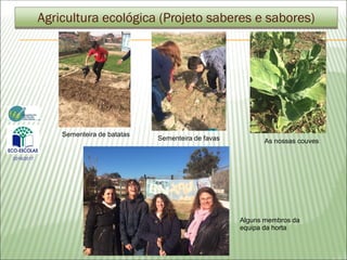 Agricultura ecológica (Projeto saberes e sabores)
Sementeira de batatas
Alguns membros da
equipa da horta
Sementeira de favas As nossas couves
2016/2017
 
