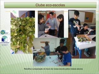 Clube eco-escolas
Recolha e preparação do louro da nossa escola pelos nossos alunos
2016/2017
 