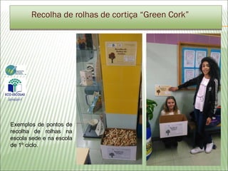 Exemplos de pontos de
recolha de rolhas na
escola sede e na escola
de 1º ciclo.
Recolha de rolhas de cortiça “Green Cork”
2016/2017
 
