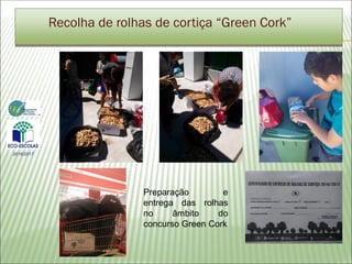 Preparação e
entrega das rolhas
no âmbito do
concurso Green Cork
Recolha de rolhas de cortiça “Green Cork”
2016/2017
 