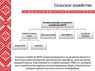 Сельское хозяйство
Сельское хозяйство БССР специализировалось на развитии мясного и
молочного животноводства, производстве картофеля, льна-долгунца,
сахарной свеклы. В республике во второй половине 1960-х гг. разверну-
лось строительство крупных механизированных ферм, комплексов по
откорму крупного рогатого скота и птицефабрик.
Специализация сельского
хозяйства БССР
животновод-
ство
молочное мясное
лён-долгунец картофель
сахарная
свекла
 