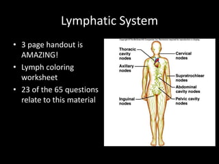 Lymphatic System
• 3 page handout is
AMAZING!
• Lymph coloring
worksheet
• 23 of the 65 questions
relate to this material