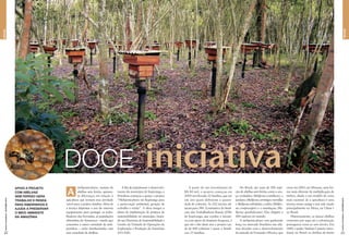 meliponicultura, manejo de
abelhas sem ferrão, apresen-
ta diferenças em relação à
apicultura que tornam essa atividade
viável para a prática familiar. Além de
a técnica dispensar o uso do oneroso
equipamento para proteger os traba-
lhadores das ferroadas, as populações
ribeirinhas do Amazonas – estado que
concentra a maior variedade de meli-
ponídeos – estão familiarizadas com
essa variedade de abelhas.
A ﬁm de impulsionar o desenvolvi-
mento do município de Itapiranga, a
Petrobras começou a apoiar o projeto
“Meliponicultura em Itapiranga para
a preservação ambiental, geração de
trabalho e renda”. A ideia integra o
plano de implantação de projetos de
sustentabilidade no município, basea-
do nas Diretrizes de Sustentabilidade e
Gestão da Unidade de Operações de
Exploração e Produção da Amazônia
(UO-AM).
APOIO A PROJETO
COM ABELHAS
SEM FERRÃO GERA
TRABALHO E RENDA
PARA RIBEIRINHOS E
AJUDA A PRESERVAR
O MEIO AMBIENTE
NA AMAZÔNIA
A
r o desenvolvi-
iniciativaDOCE
SOCIAL
SOCIAL|REVISTAPETROBRAS|OUTUBRO2010
23
|REVISTAPETROBRAS|OUTUBRO2010
22
FOTOS:DIVULGAÇÃOPETROBRAS/UO-AM
A partir de um investimento de
R$ 80 mil, o projeto começou em
2009 envolvendo 22 famílias, que em
um ano quase dobraram a quanti-
dade de colmeias. As 202 iniciais sal-
taram para 384. A estimativa do Sindi-
cato dos Trabalhadores Rurais (STR)
de Itapiranga, que conduz a iniciati-
va com apoio do Instituto Iraquara, é
que até o ﬁm deste ano o projeto cui-
de de 800 colmeias e passe a beneﬁ-
ciar 25 famílias.
No Brasil, são mais de 200 espé-
cies de abelhas sem ferrão, como a uru-
çu verdadeira (Melipona scutellavis), a
jandaíra (Melipona seminigra merrillae
e Melipona subnitida), a tiúba (Melipo-
na compressipes) e a mandaçaia (Me-
lipona quadrifaciata). Elas chegam a
400 espécies no mundo.
A meliponicultura vem ganhando
força no mercado brasileiro nas últi-
mas décadas com o desenvolvimento
do método de Fernando Oliveira, que
criou em 2003, em Manaus, uma for-
ma mais eﬁciente de multiplicação de
ninhos, aliada a um modelo de caixa
mais racional. Já a apicultura é uma
técnica muito antiga e tem sido usada
principalmente na África, na China e
no Brasil.
Historicamente, as únicas abelhas
existentes por aqui até a colonização
portuguesa eram as sem ferrão. Em
1840, o padre Antônio Carneiro intro-
duziu no Brasil as abelhas de ferrão
 