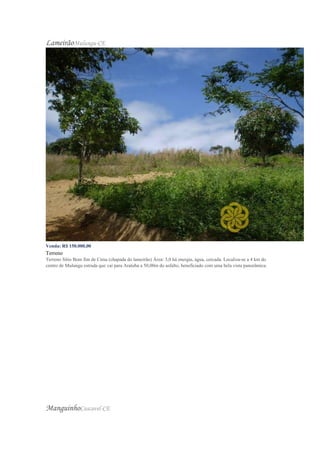 LameirãoMulungu-CE
Venda: R$ 150.000,00
Terreno
Terreno Sítio Bom fim de Cima (chapada do lameirão) Área: 3,0 há energia, água, cercada. Localiza-se a 4 km do
centro de Mulungu estrada que vai para Aratuba a 50,00m do asfalto, beneficiado com uma bela vista panorâmica.
ManguinhoCascavel-CE
 