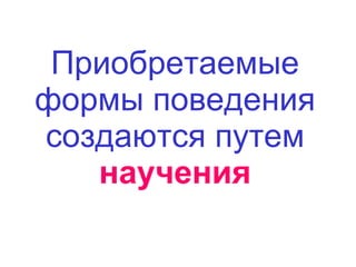 Приобретаемые формы поведения создаются путем  научения 