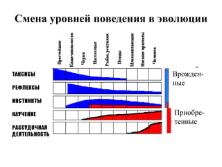 Смена уровней поведения в эволюции Врожден-ные Приобре-тенные 