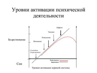 Уровни активации психической деятельности Эмоции Внимание Спокойное бодрствование Сон Уровни активации нервной системы Поведение Аффект Бодрствование 