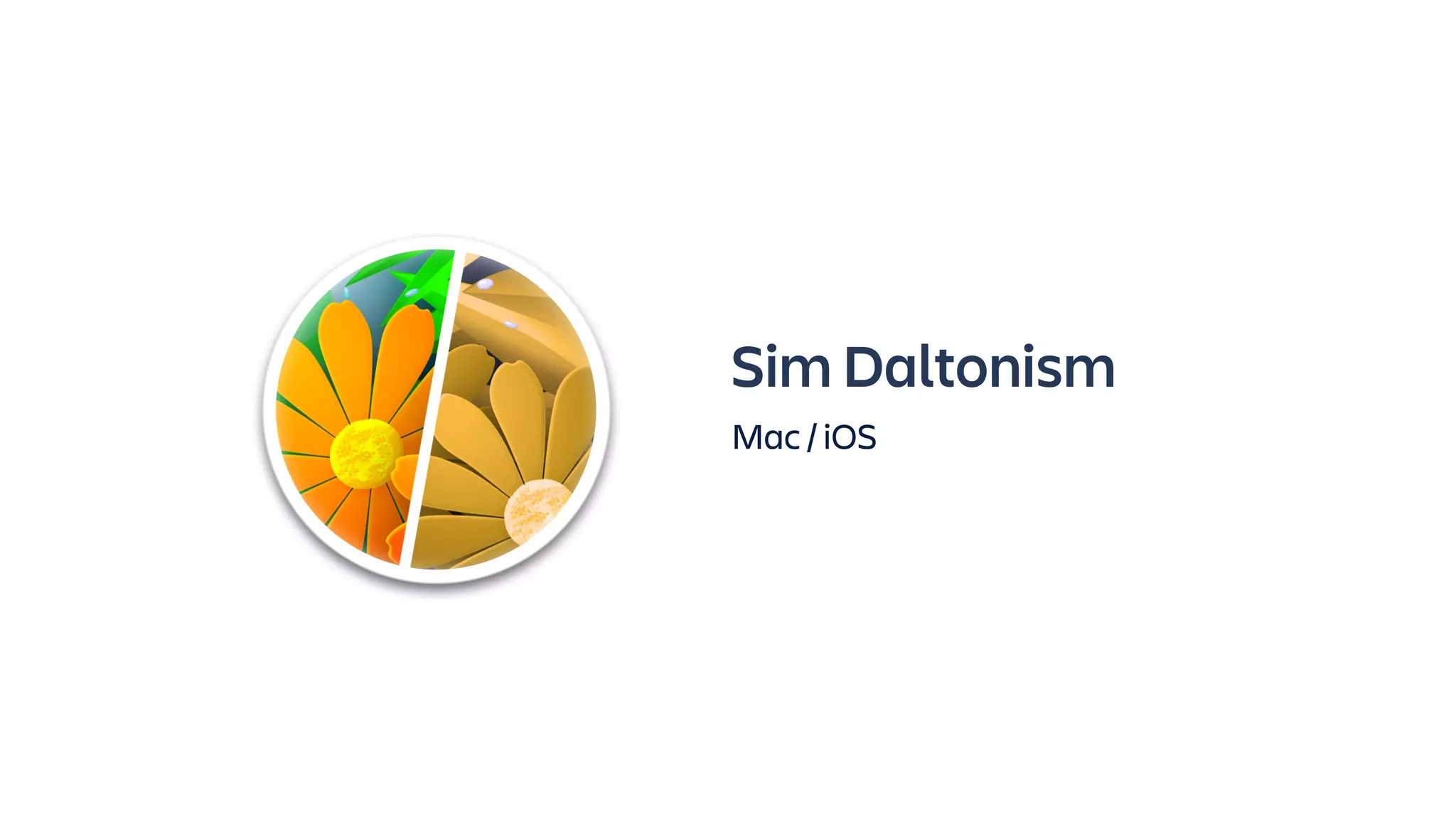 Sim Daltonism
Mac / iOS
 