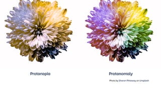 Protanopia Protanomaly
Photo by Sharon Pittaway on Unsplash
 