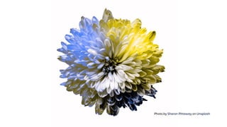 Photo by Sharon Pittaway on Unsplash
 