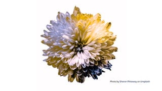 Photo by Sharon Pittaway on Unsplash
 