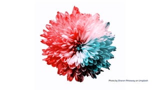 Photo by Sharon Pittaway on Unsplash
 