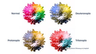 Normal Deuteranopia
Protanopia Tritanopia
Photo by Sharon Pittaway on Unsplash
 