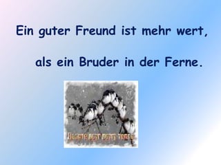 Ein guter Freund ist mehr wert,

   als ein Bruder in der Ferne.
 