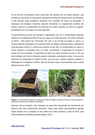www.aptaregional.sp.gov.br
ISSN 2316-5146
Pesquisa & Tecnologia, vol. 11, n. 1, Jan-Jun 2014
O uso de lodo é restringido muitas vezes pelo seu elevado teor de metais pesados, cuja
presença é decorrente do lançamento clandestino de efluente industrial junto ao doméstico,
e pela elevada carga patogênica resultante das condições de saúde da população. A
separação dos despejos industriais daqueles domésticos no esgotamento sanitário das
cidades reduziria a problemática da presença de metais pesados em lodos de esgotos,
possibilitando seu uso seguro em solos agrícolas.
O pós-tratamento do lodo com secagem, higienização com cal e compostagem poderiam
melhorar sua qualidade permitindo seu uso seguro em solos agrícolas. Em ensaio realizado
na APTA – Polo Centro Sul, Piracicaba, SP, com o uso de lodo de esgoto in natura e o
mesmo material compostado com poda de árvore de cidades, aplicados sobre a palhada da
cana-de-açúcar (Figura 1) verificou-se aumento de até 30% na produtividade da cultura, e
menor redução na produção entre os cortes, aumentando a longevidade do canavial e
custos com sua renovação. A quantidade de açúcar do caldo aumentou de 0,5 a 1,0% nos
solos tratados com lodo e composto quando comparado a adubação mineral, e houve uma
economia em fertilizantes da ordem de 60%, uma vez que o resíduo orgânico substituiu a
fertilização com nitrogênio e fósforo, além de fornecer outros micronutrientes para a planta
(Bertoncini et al., 2013).
Figura 1. Uso de lodo de esgoto e composto de lodo de esgoto e poda de árvore em cana-de-açúcar
cultivada no sistema de colheita mecanizada.
Contudo, não se percebe muito interesse por parte das companhias de saneamento em
assumir mais este compromisso ambiental. Talvez haja melhor aproveitamento agrícola
desse resíduo com a proibição do seu destino em aterro sanitário a partir de 2014, pela
Política Nacional de Resíduos Sólidos (Brasil, 2012).
 