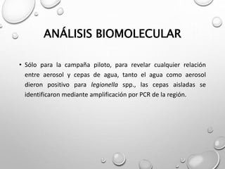 ANÁLISIS BIOMOLECULAR
• Sólo para la campaña piloto, para revelar cualquier relación
entre aerosol y cepas de agua, tanto el agua como aerosol
dieron positivo para legionella spp., las cepas aisladas se
identificaron mediante amplificación por PCR de la región.
 