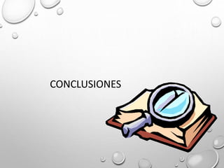 CONCLUSIONES
 