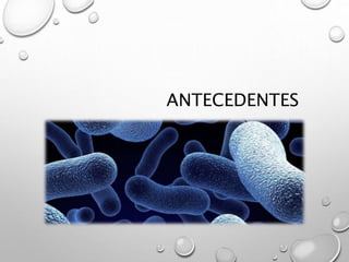 ANTECEDENTES
 