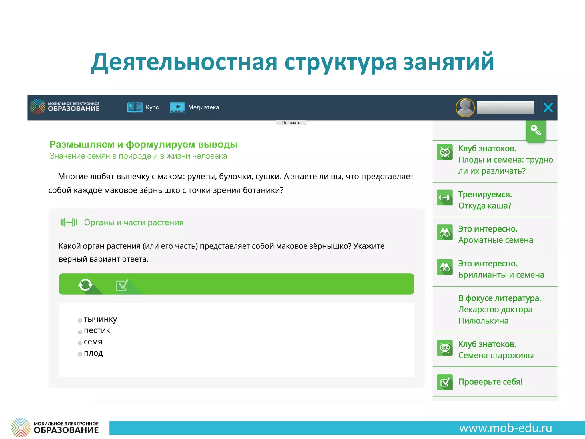 Автономность
Размышляем и формулируем выводы
Значение семян в природе и в жизни человека
Деятельностная структура	занятий
 
