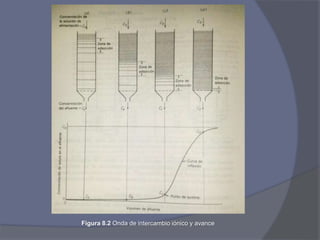 Figura 8.2 Onda de intercambio iónico y avance
 