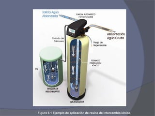 Figura 8.1 Ejemplo de aplicación de resina de intercambio iónico.
 