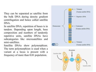 A PROJECT ON EVOLUTION OF DNA FINGERPRINTING AND ITS TECHNOLOGY | PDF