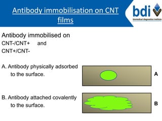 Antibody immobilisation on CNT
films
Antibody immobilised on
CNT-/CNT+ and
CNT+/CNT-
A. Antibody physically adsorbed
to the surface.
B. Antibody attached covalently
to the surface.
A
B
 