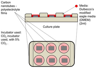 Culture plate
Media:
Dulbecco’s
modified
eagle media
(DMEM)
(2ml)
Carbon
nanotubes -
polyelectrolyte
films
Incubator used:
CO2 incubator
used, with 5%
CO2 .
 