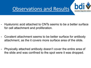Observations and Results
- Hyaluronic acid attached to CNTs seems to be a better surface
for cell attachment and proliferation.
- Covalent attachment seems to be better surface for antibody
attachment, as the it covers more surface area of the slide.
- Physically attached antibody doesn’t cover the entire area of
the slide and was confined to the spot were it was dropped.
 