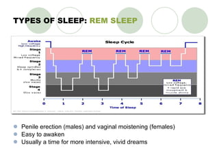 TYPES OF SLEEP:  REM SLEEP Penile erection (males) and vaginal moistening (females) Easy to awaken Usually a time for more intensive, vivid dreams 