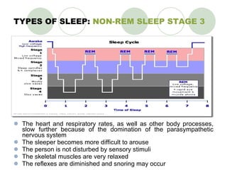 TYPES OF SLEEP:  NON-REM SLEEP STAGE 3 The heart and respiratory rates, as well as other body processes, slow further because of the domination of the parasympathetic nervous system The sleeper becomes more difficult to arouse The person is not disturbed by sensory stimuli The skeletal muscles are very relaxed The reflexes are diminished and snoring may occur 
