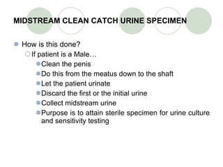 MIDSTREAM CLEAN CATCH URINE SPECIMEN How is this done? If patient is a Male… Clean the penis Do this from the meatus down to the shaft Let the patient urinate Discard the first or the initial urine Collect midstream urine Purpose is to attain sterile specimen for urine culture and sensitivity testing    