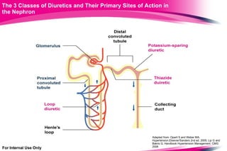 The 3 Classes of Diuretics and Their Primary Sites of Action in  the Nephron For Internal Use Only Adapted from: Oparil S and Weber MA. Hypertension.Elsevier/Sanders 2nd ed. 2005; L ip G and Bakris G. Handbook Hypertension Management. CMG 2006 