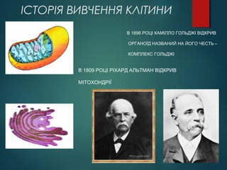 ІСТОРІЯ ВИВЧЕННЯ КЛІТИНИ
В 1809 РОЦІ РІХАРД АЛЬТМАН ВІДКРИВ
МІТОХОНДРІЇ
В 1896 РОЦІ КАМІЛЛО ГОЛЬДЖІ ВІДКРИВ
ОРГАНОЇД НАЗВАНИЙ НА ЙОГО ЧЕСТЬ –
КОМПЛЕКС ГОЛЬДЖІ
 