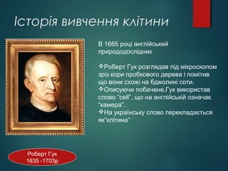 Історія вивчення клітини
Роберт Гук
1635 -1703р
В 1665 році англійський
природодослідник
Роберт Гук розглядав під мікроскопом
зріз кори пробкового дерева і помітив
що вони схожі на бджолині соти.
Описуючи побачене,Гук використав
слово “cell”, що на англійській означає
“камера”.
На українську слово перекладається
як“клітина”
 