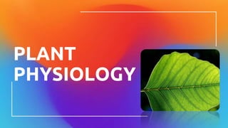 PLANT
PHYSIOLOGY
 