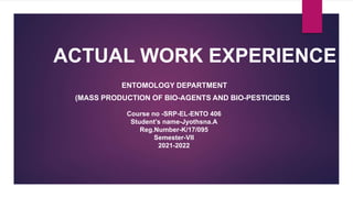 ACTUAL WORK EXPERIENCE
ENTOMOLOGY DEPARTMENT
(MASS PRODUCTION OF BIO-AGENTS AND BIO-PESTICIDES
Course no -SRP-EL-ENTO 406
Student’s name-Jyothsna.A
Reg.Number-K/17/095
Semester-VII
2021-2022
 