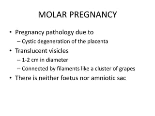 MOLAR PREGNANCY
• Pregnancy pathology due to
– Cystic degeneration of the placenta
• Translucent visicles
– 1-2 cm in diameter
– Connected by filaments like a cluster of grapes
• There is neither foetus nor amniotic sac
 