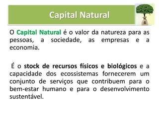 Capital Natural
O Capital Natural é o valor da natureza para as
pessoas, a sociedade, as empresas e a
economia.
É o stock de recursos físicos e biológicos e a
capacidade dos ecossistemas fornecerem um
conjunto de serviços que contribuem para o
bem-estar humano e para o desenvolvimento
sustentável.
 