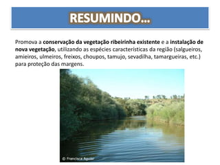 Promova a conservação da vegetação ribeirinha existente e a instalação de
nova vegetação, utilizando as espécies características da região (salgueiros,
amieiros, ulmeiros, freixos, choupos, tamujo, sevadilha, tamargueiras, etc.)
para proteção das margens.
 
