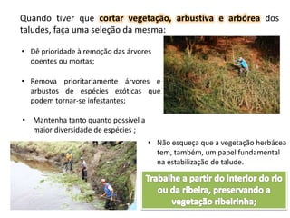 Quando tiver que cortar vegetação, arbustiva e arbórea dos
taludes, faça uma seleção da mesma:
• Dê prioridade à remoção das árvores
doentes ou mortas;
• Remova prioritariamente árvores e
arbustos de espécies exóticas que
podem tornar-se infestantes;
• Mantenha tanto quanto possível a
maior diversidade de espécies ;
• Não esqueça que a vegetação herbácea
tem, também, um papel fundamental
na estabilização do talude.
 