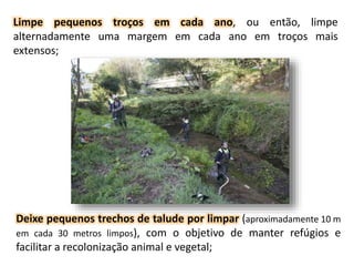 Limpe pequenos troços em cada ano, ou então, limpe
alternadamente uma margem em cada ano em troços mais
extensos;
Deixe pequenos trechos de talude por limpar (aproximadamente 10 m
em cada 30 metros limpos), com o objetivo de manter refúgios e
facilitar a recolonização animal e vegetal;
 