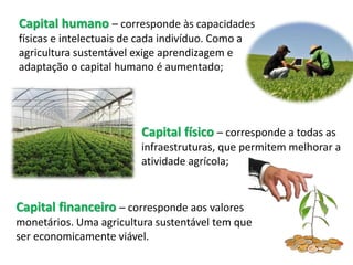 Capital humano – corresponde às capacidades
físicas e intelectuais de cada indivíduo. Como a
agricultura sustentável exige aprendizagem e
adaptação o capital humano é aumentado;
Capital físico – corresponde a todas as
infraestruturas, que permitem melhorar a
atividade agrícola;
Capital financeiro – corresponde aos valores
monetários. Uma agricultura sustentável tem que
ser economicamente viável.
 